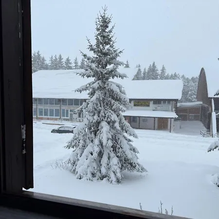 Appartamento Palaghiaccio - 6 Posti Letto Affianco Al Palaghiaccio Di