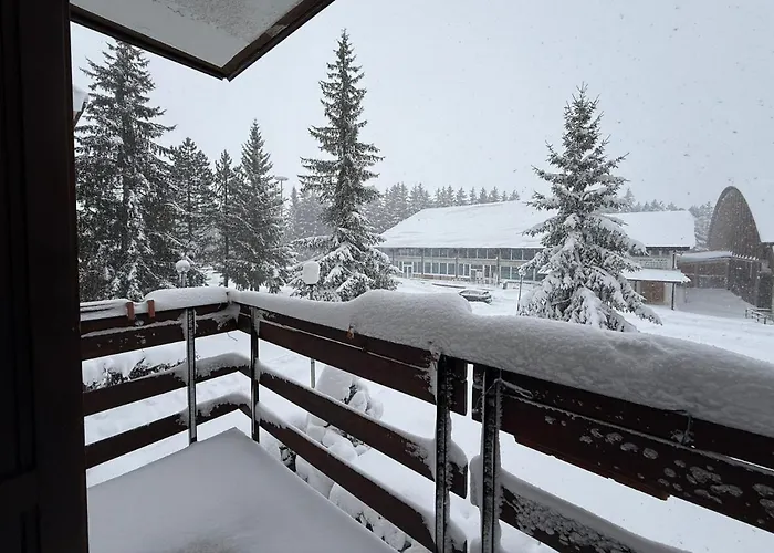 Appartamento Palaghiaccio - 6 Posti Letto Affianco Al Palaghiaccio Di Roccaraso