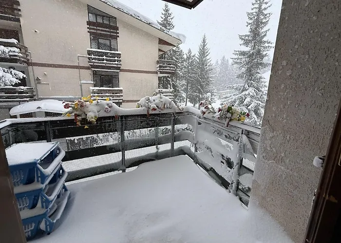 Apartamento Palaghiaccio - 6 Posti Letto Affianco Al Palaghiaccio Di *