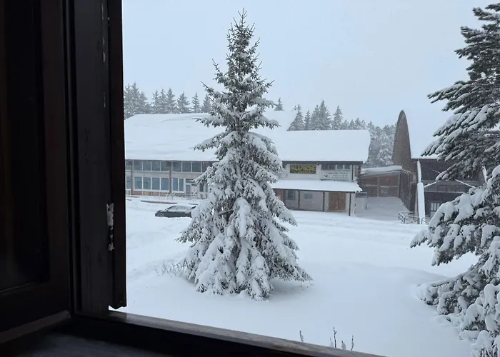 Apartamento Palaghiaccio - 6 Posti Letto Affianco Al Palaghiaccio Di